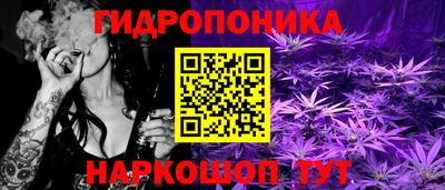гашик Кинель