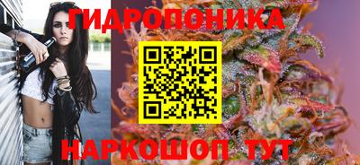 гашик Кинель