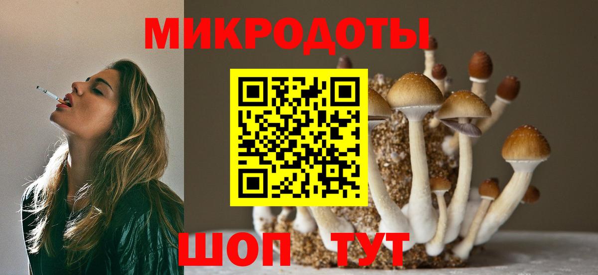 купить наркоту  Вход с VPN  Буйнакск  Псилоцибиновые грибы мицелий 
